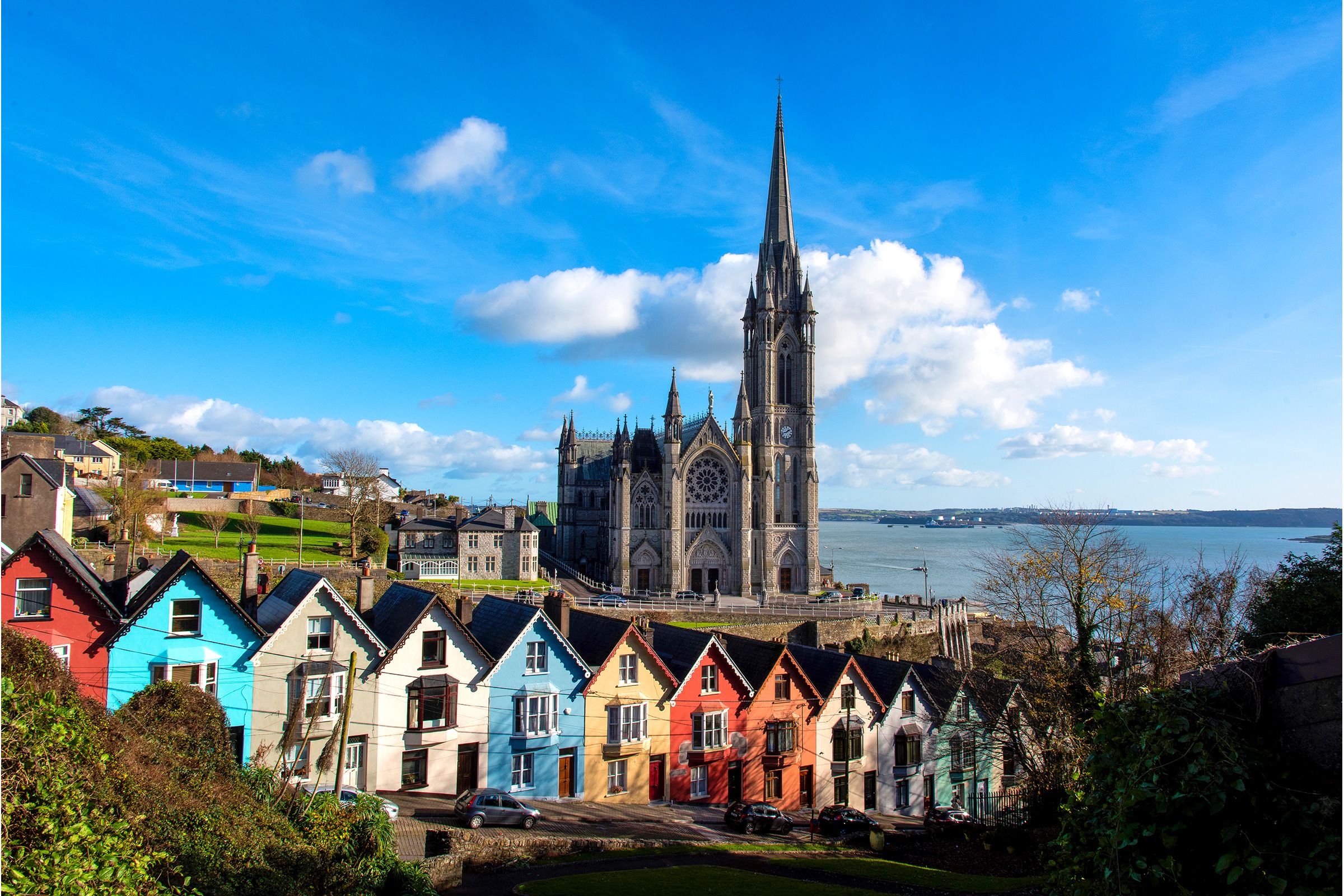 Web Design in Cork
